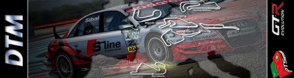 PTSims DTM2009