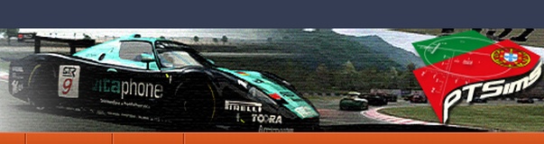 PTSims Banner